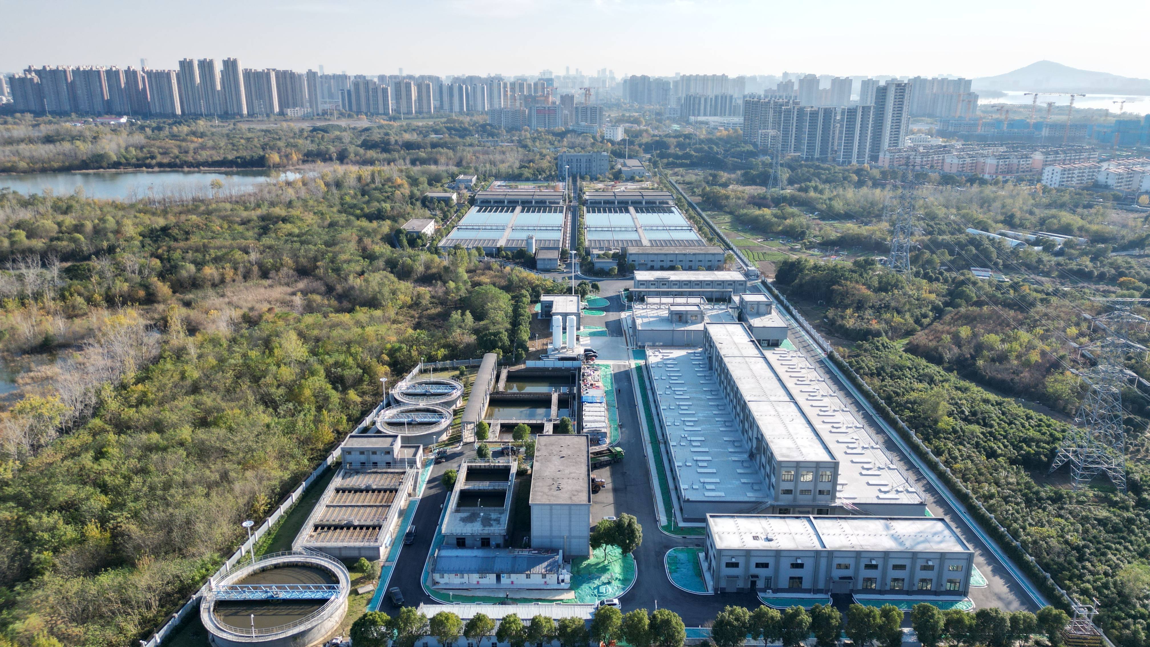 周口市合肥专业企业价值增长(合肥市重点企业产业目录)