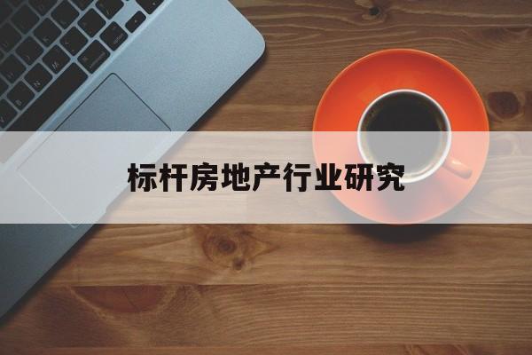 周口市标杆房地产行业研究(房地产领域的标杆人物)