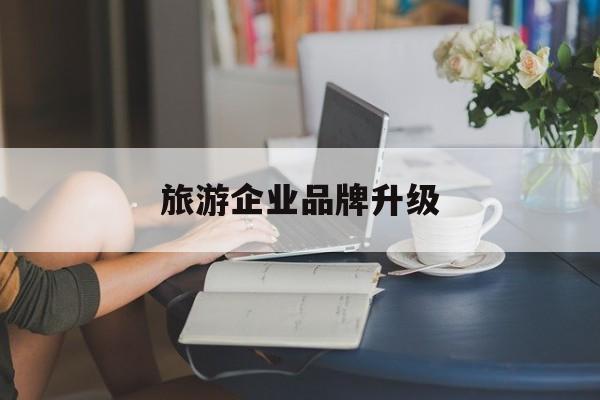 周口市旅游企业品牌升级(旅游企业品牌升级措施)