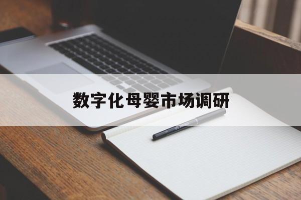 周口市数字化母婴市场调研(数字化母婴市场调研报告)